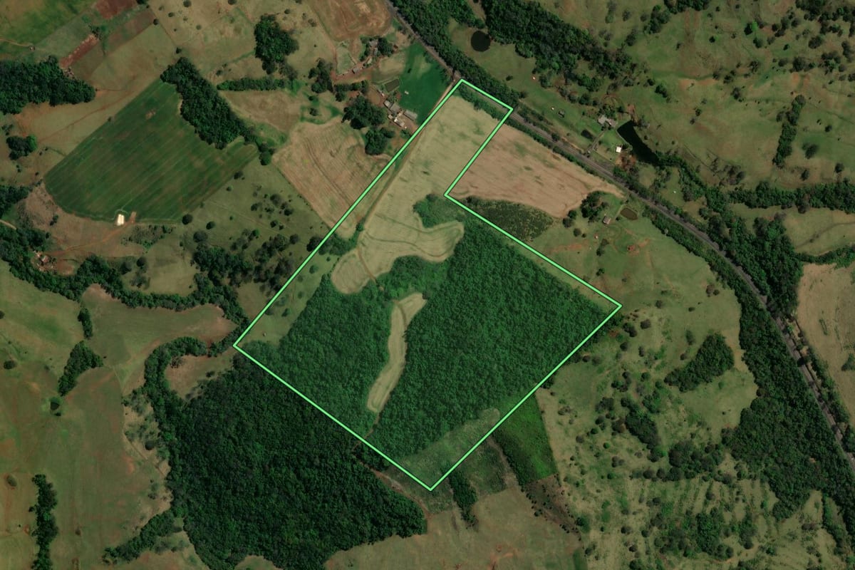 Imagem de satélite do imóvel rural em Nova Tebas (PR), com o contorno declarado no CAR desenhado por cima.
