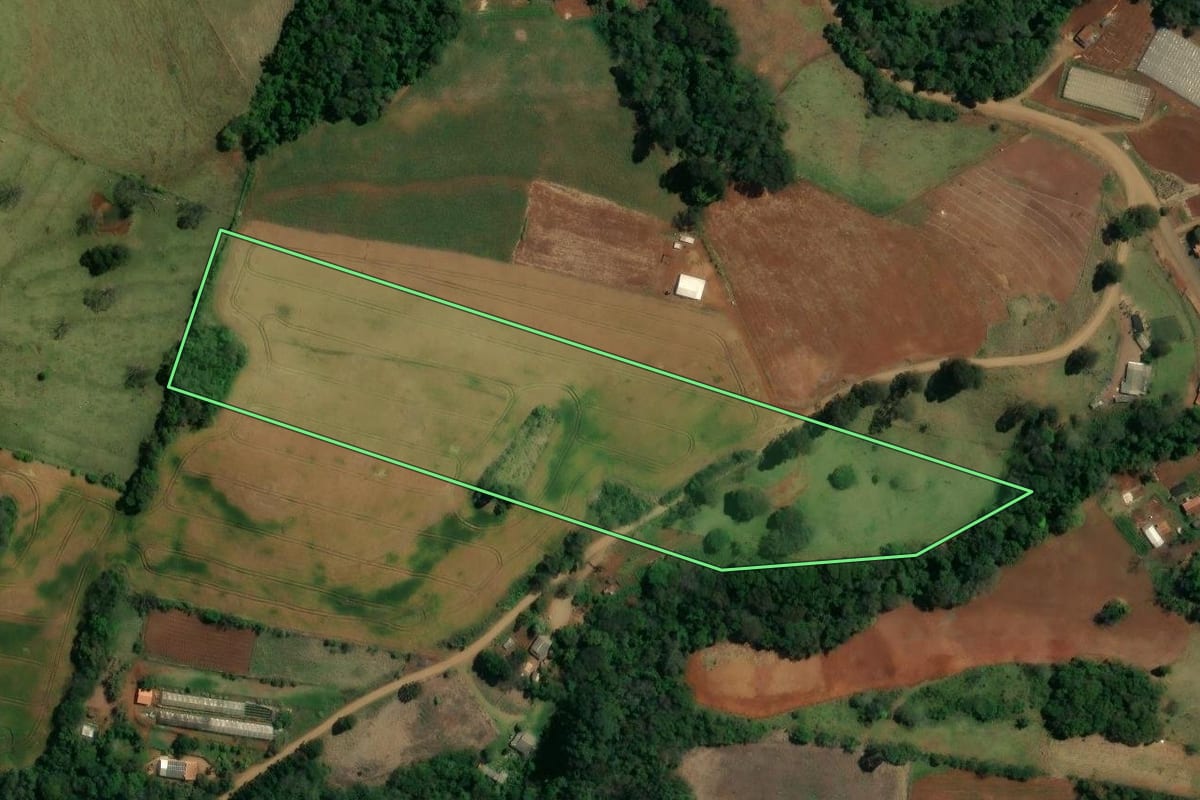 Imagem de satélite do imóvel rural em Nova Tebas (PR), com o contorno declarado no CAR desenhado por cima.
