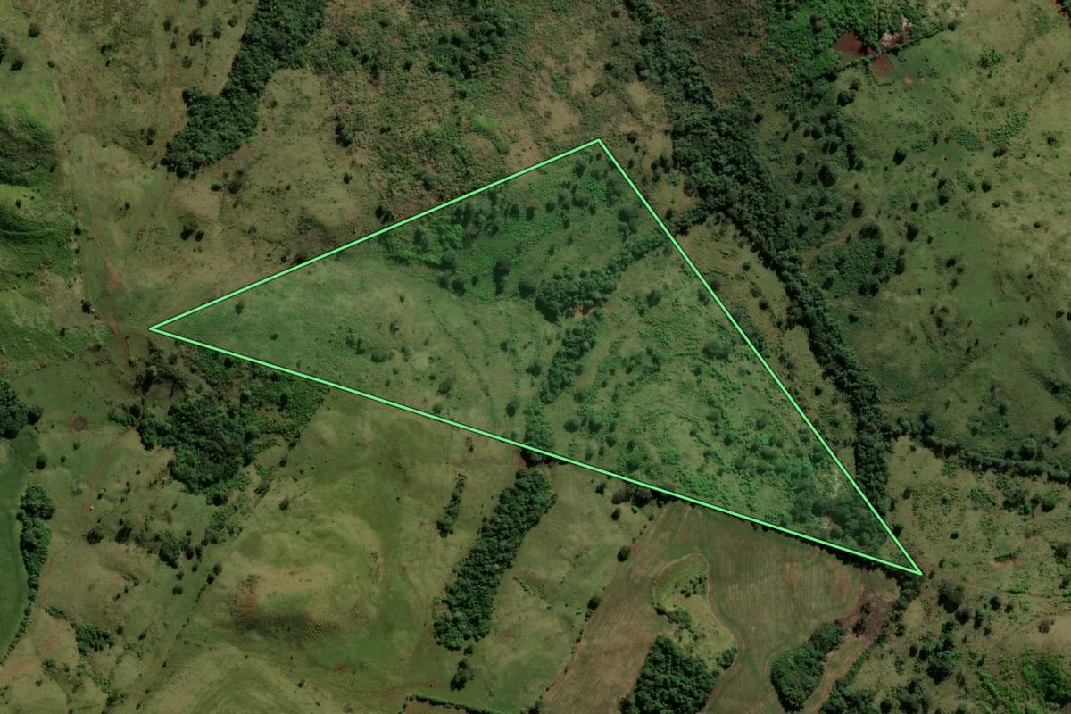 Imagem de satélite do imóvel rural em Nova Tebas (PR), com o contorno declarado no CAR desenhado por cima.