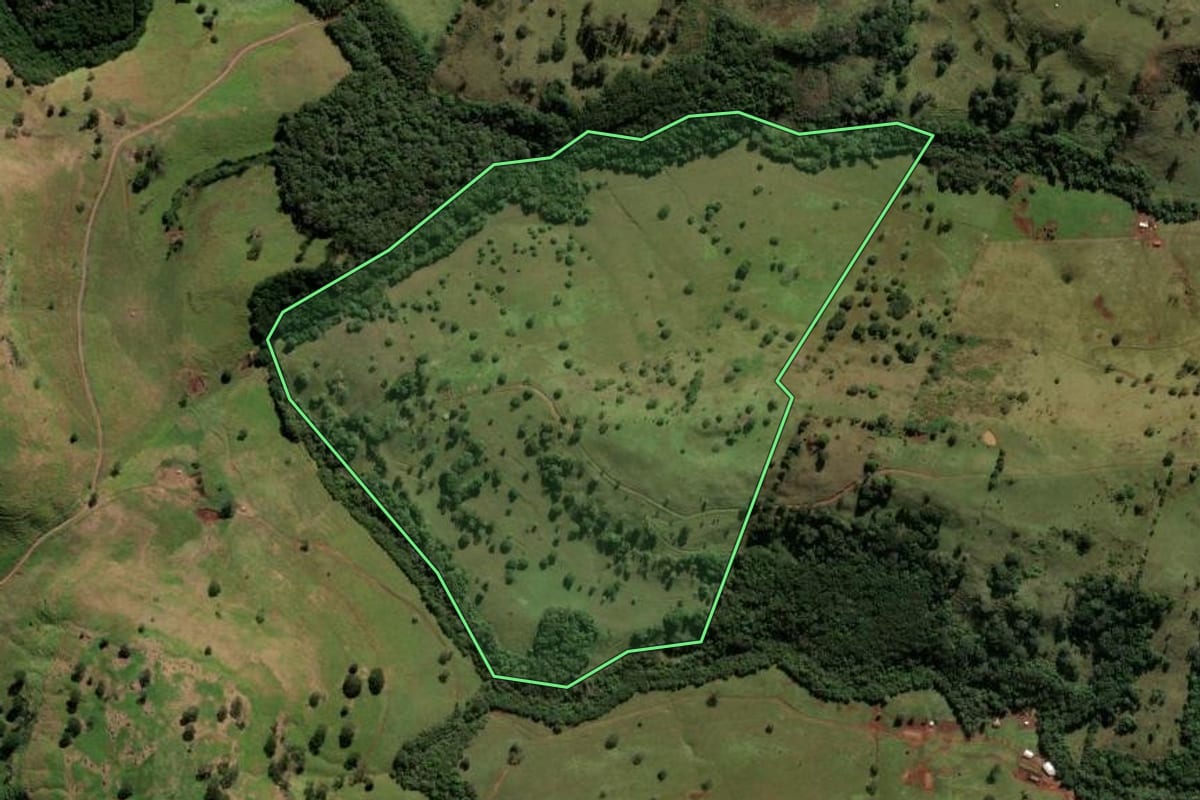 Imagem de satélite do imóvel rural em Nova Tebas (PR), com o contorno declarado no CAR desenhado por cima.