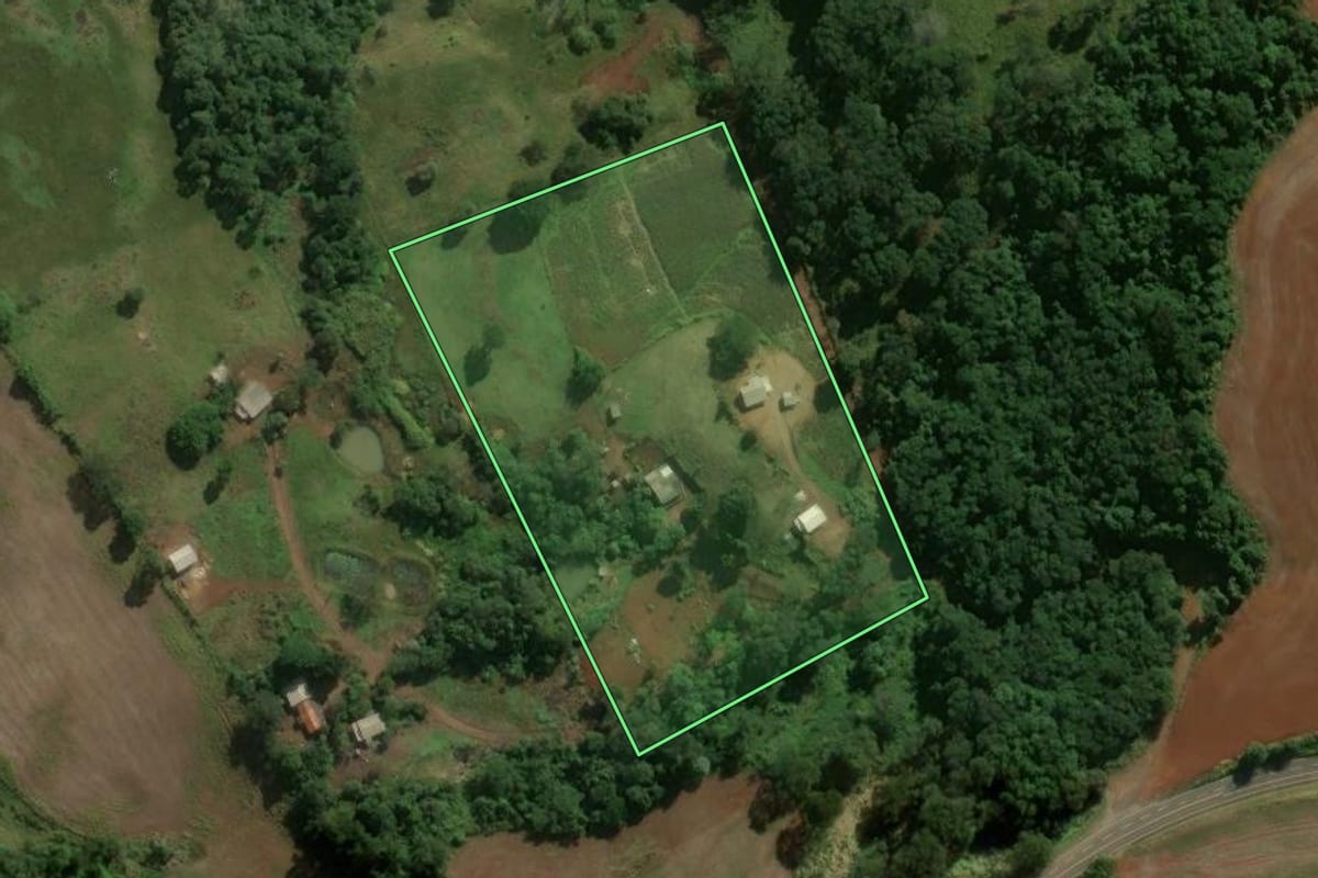 Imagem de satélite do imóvel rural em Nova Tebas (PR), com o contorno declarado no CAR desenhado por cima.