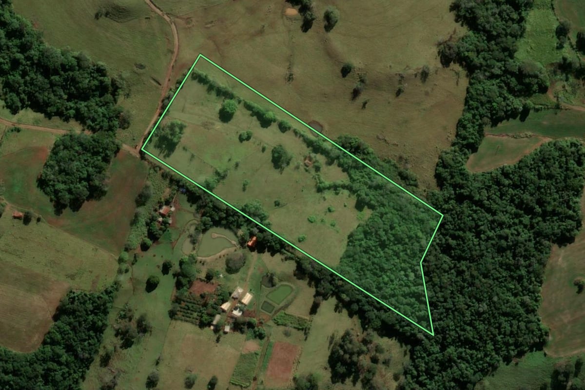 Imagem de satélite do imóvel rural em Nova Tebas (PR), com o contorno declarado no CAR desenhado por cima.
