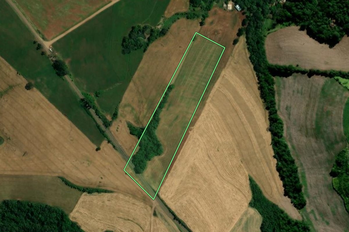 Imagem de satélite do imóvel rural em Nova Tebas (PR), com o contorno declarado no CAR desenhado por cima.