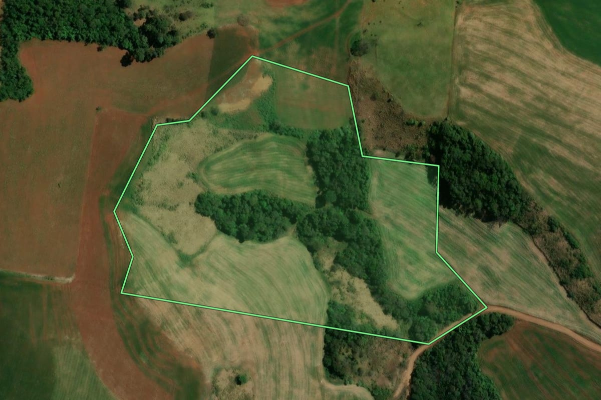 Imagem de satélite do imóvel rural em Nova Tebas (PR), com o contorno declarado no CAR desenhado por cima.