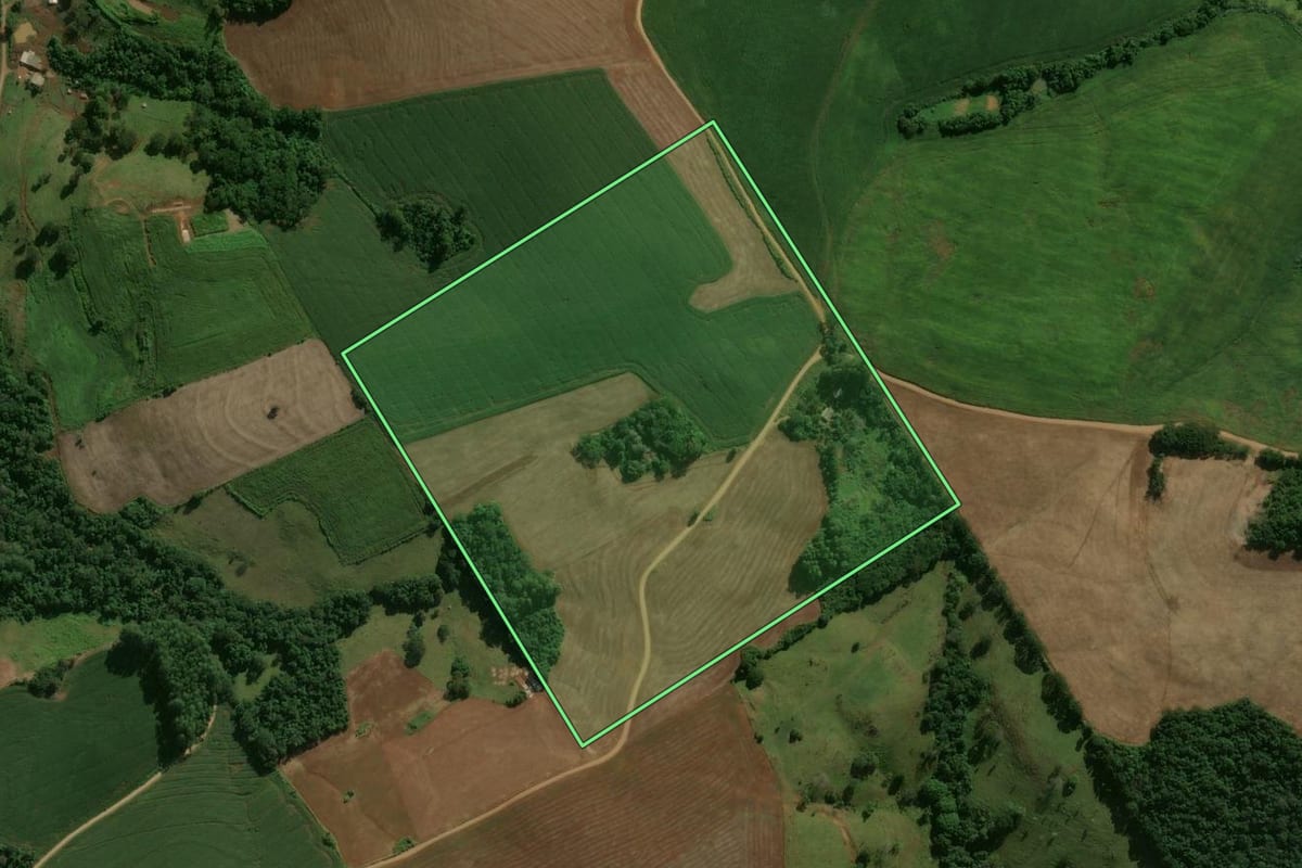 Imagem de satélite do imóvel rural em Nova Tebas (PR), com o contorno declarado no CAR desenhado por cima.