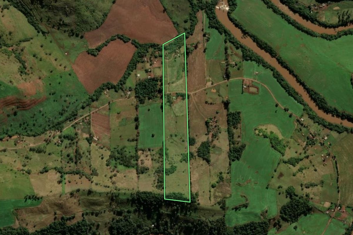 Imagem de satélite do imóvel rural em Nova Tebas (PR), com o contorno declarado no CAR desenhado por cima.
