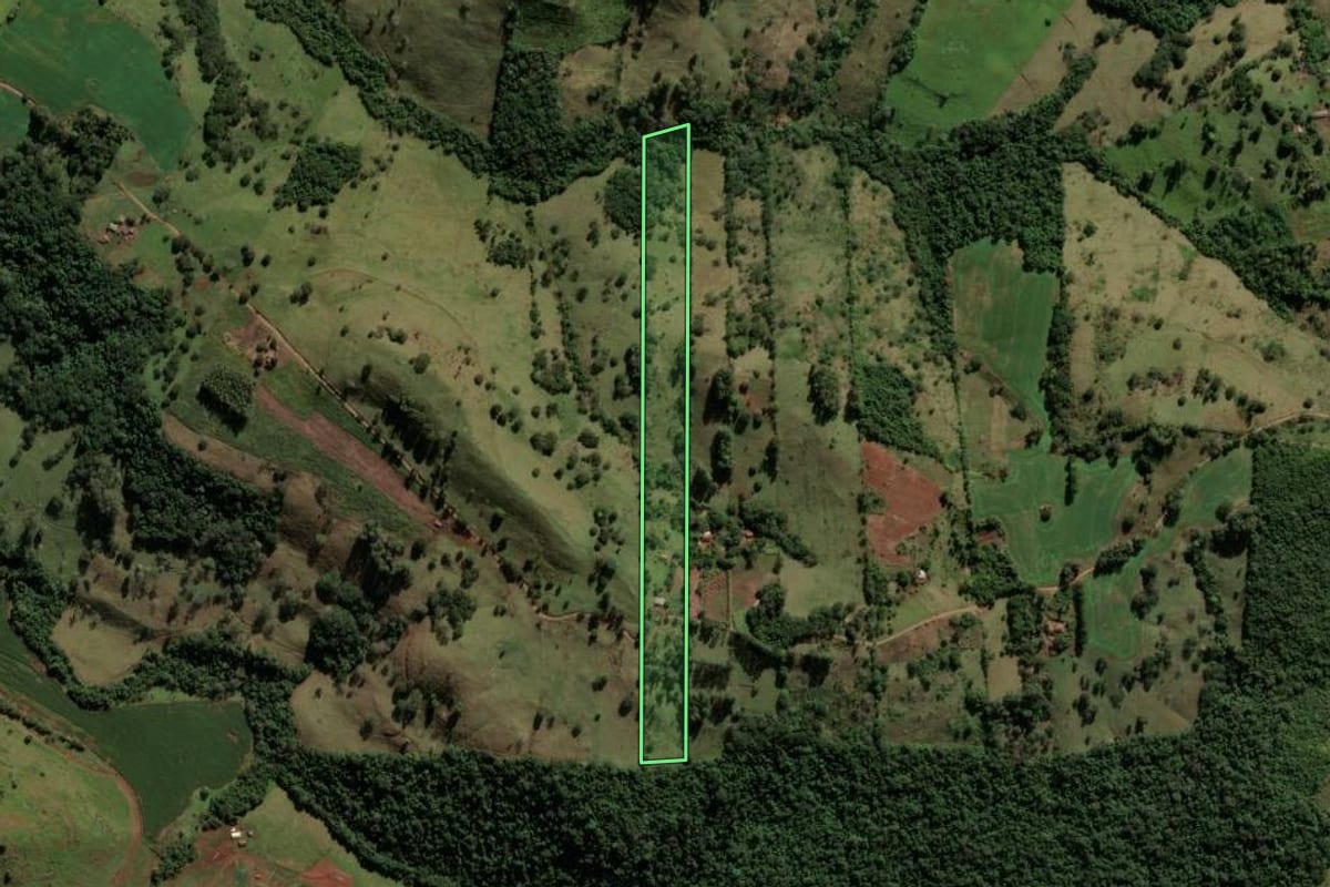 Imagem de satélite do imóvel rural em Nova Tebas (PR), com o contorno declarado no CAR desenhado por cima.