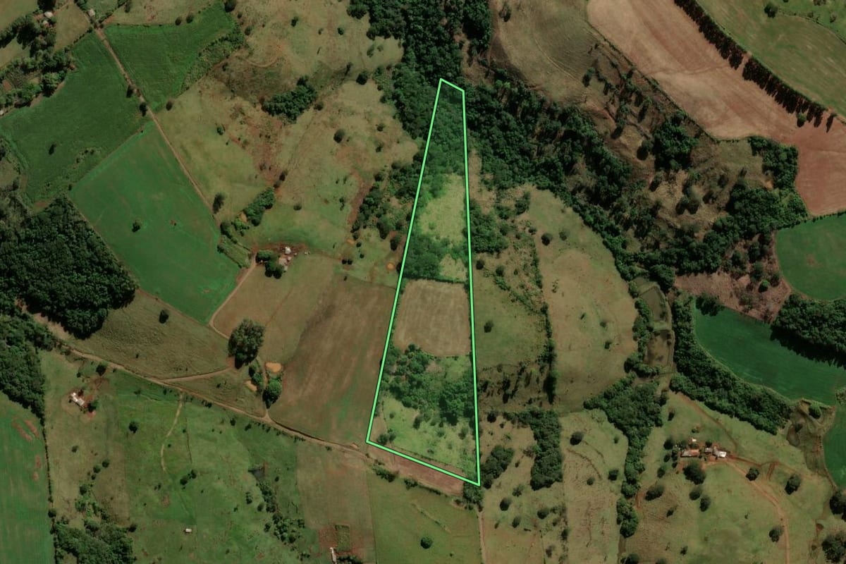 Imagem de satélite do imóvel rural em Nova Tebas (PR), com o contorno declarado no CAR desenhado por cima.