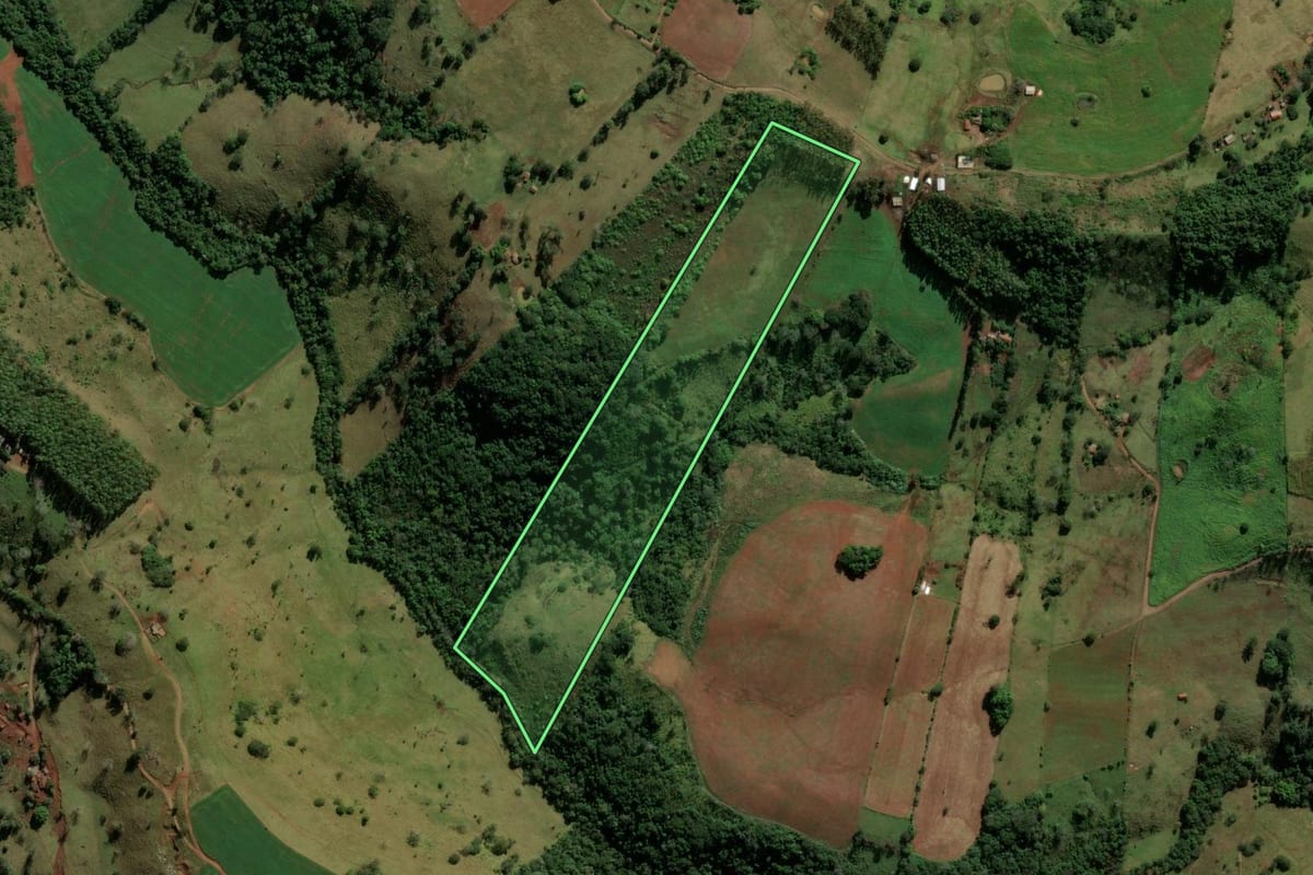 Imagem de satélite do imóvel rural em Nova Tebas (PR), com o contorno declarado no CAR desenhado por cima.