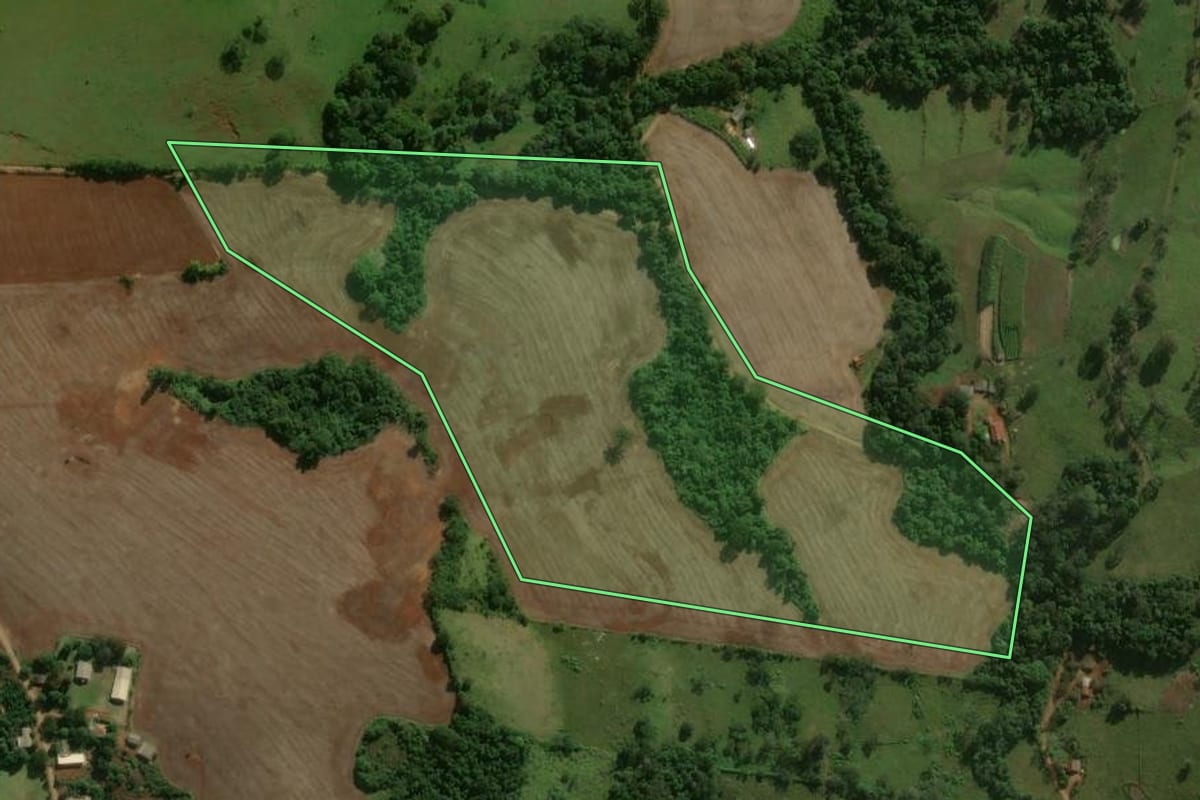 Imagem de satélite do imóvel rural em Nova Tebas (PR), com o contorno declarado no CAR desenhado por cima.