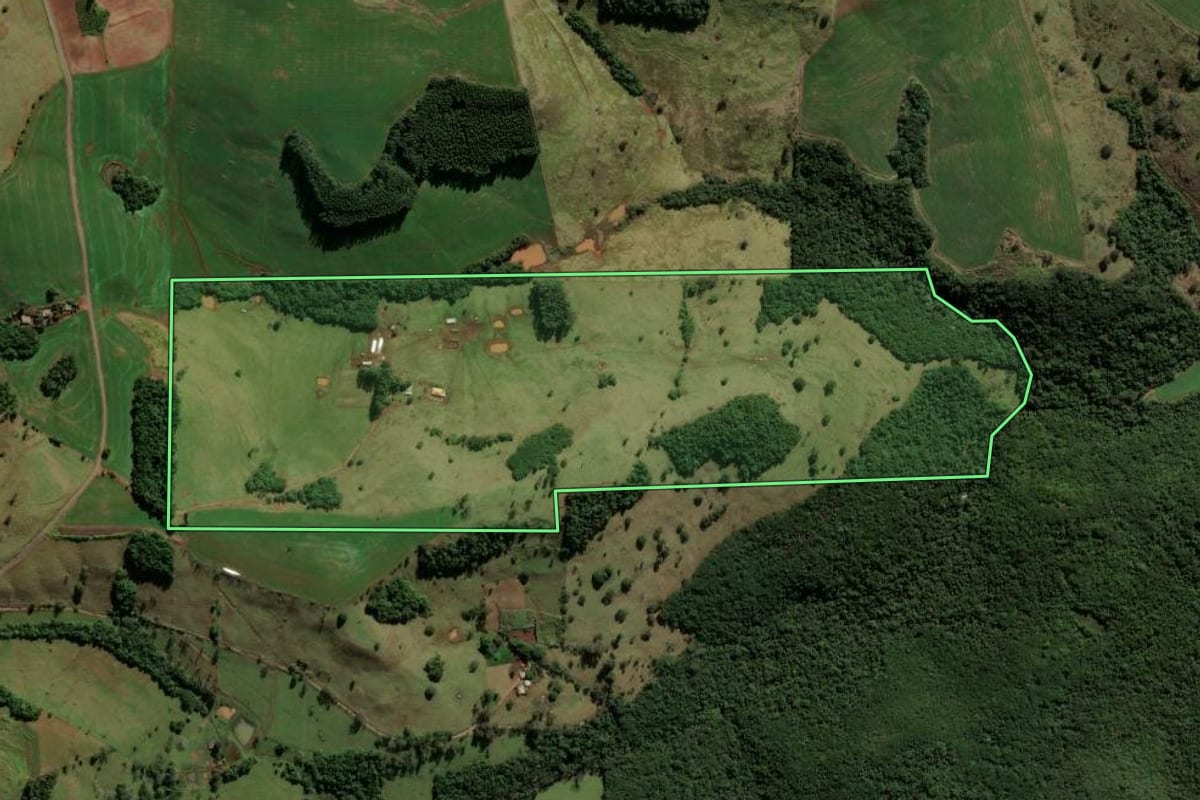 Imagem de satélite do imóvel rural em Nova Tebas (PR), com o contorno declarado no CAR desenhado por cima.