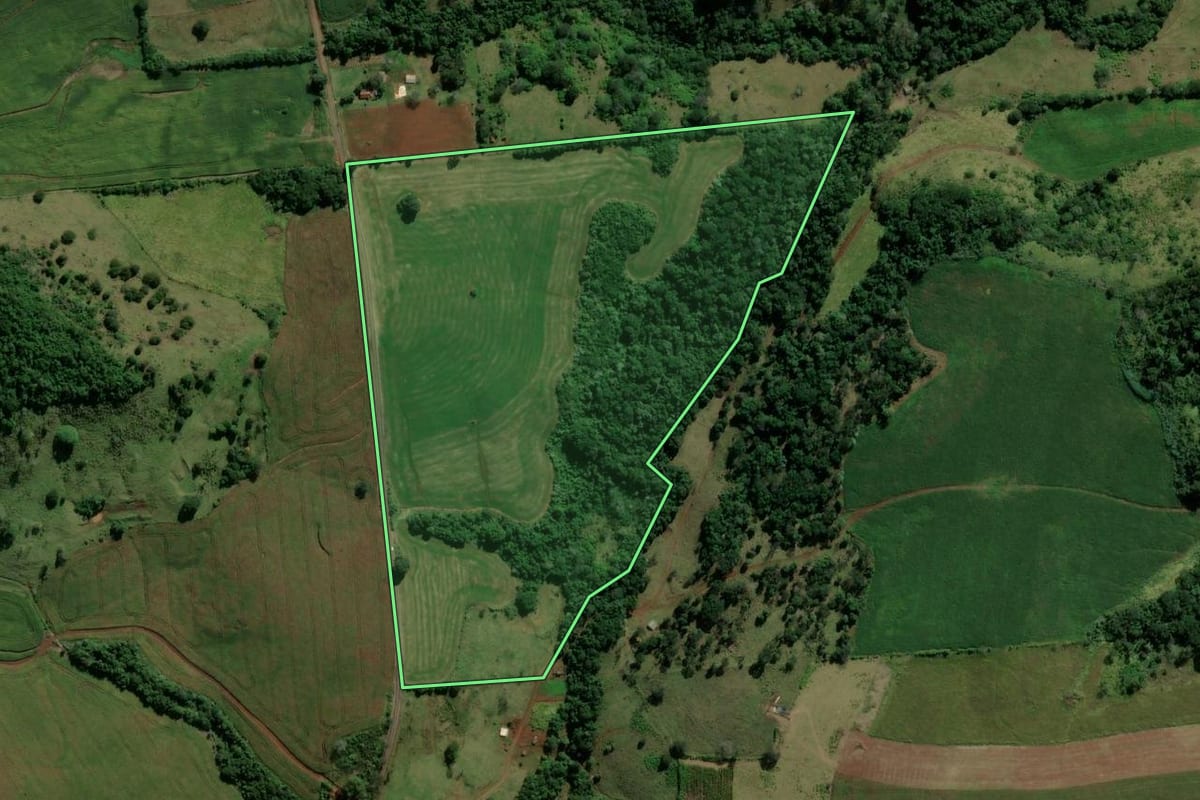 Imagem de satélite do imóvel rural em Nova Tebas (PR), com o contorno declarado no CAR desenhado por cima.