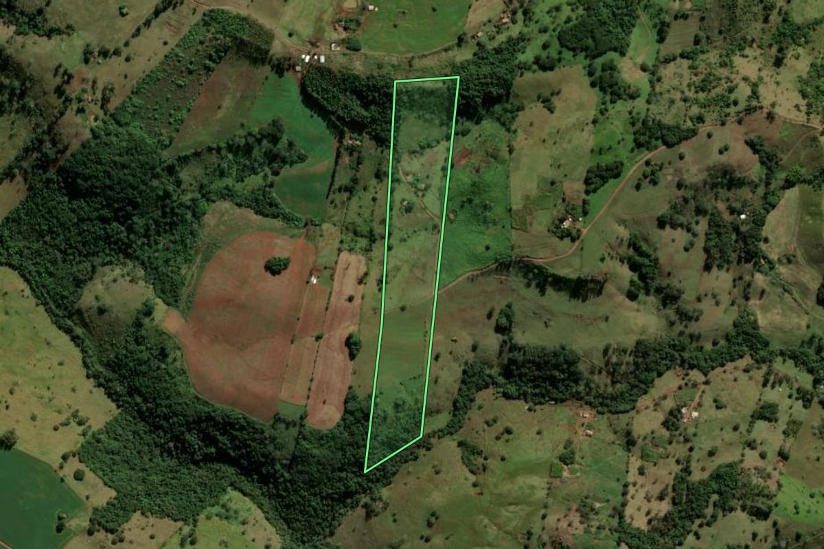 Imagem de satélite do imóvel rural em Nova Tebas (PR), com o contorno declarado no CAR desenhado por cima.