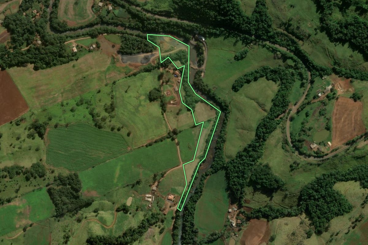 Imagem de satélite do imóvel rural em Nova Tebas (PR), com o contorno declarado no CAR desenhado por cima.