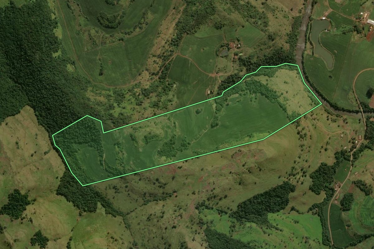 Imagem de satélite do imóvel rural em Nova Tebas (PR), com o contorno declarado no CAR desenhado por cima.