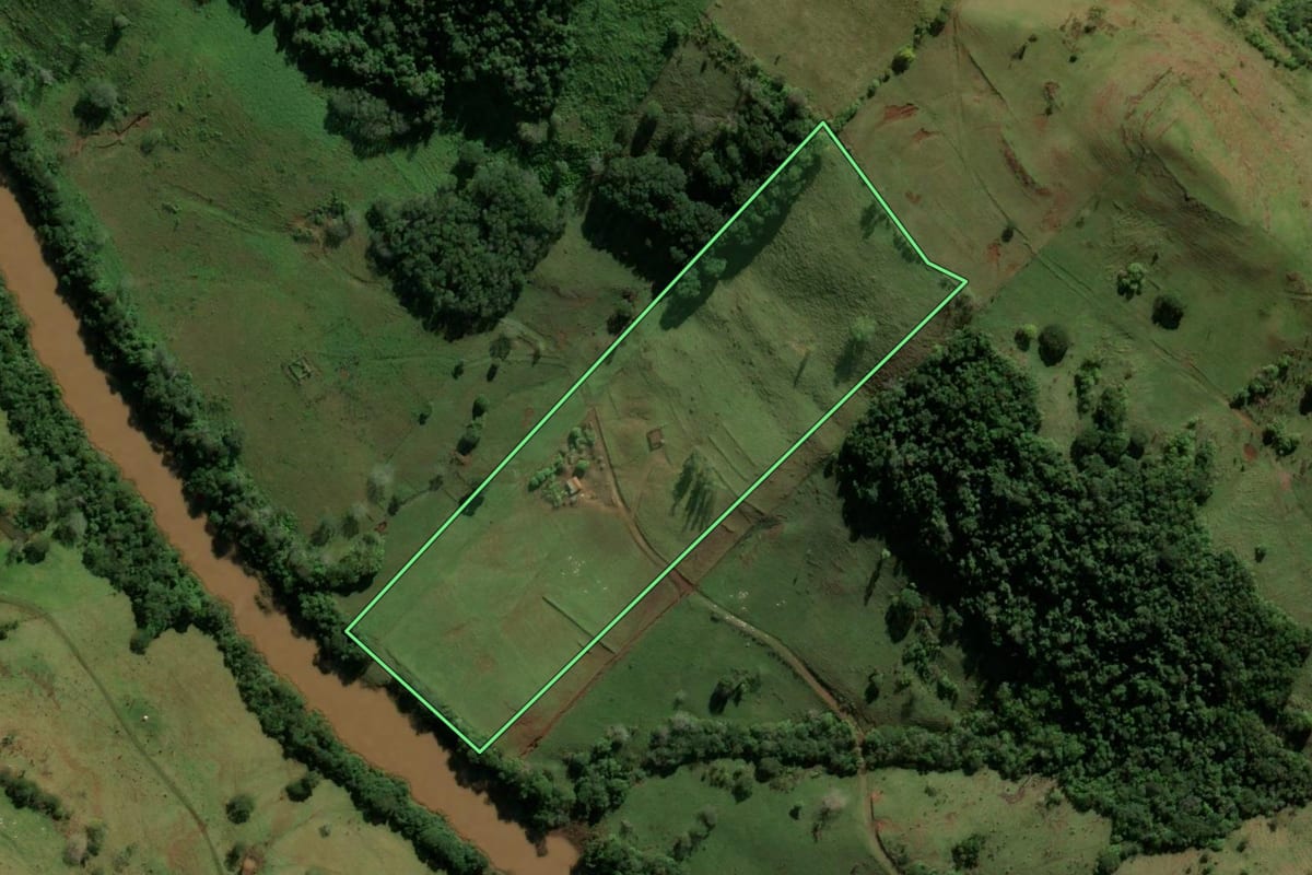 Imagem de satélite do imóvel rural em Nova Tebas (PR), com o contorno declarado no CAR desenhado por cima.