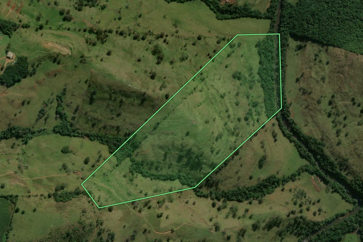 Imagem de satélite do imóvel rural em Nova Tebas (PR), com o contorno declarado no CAR desenhado por cima.