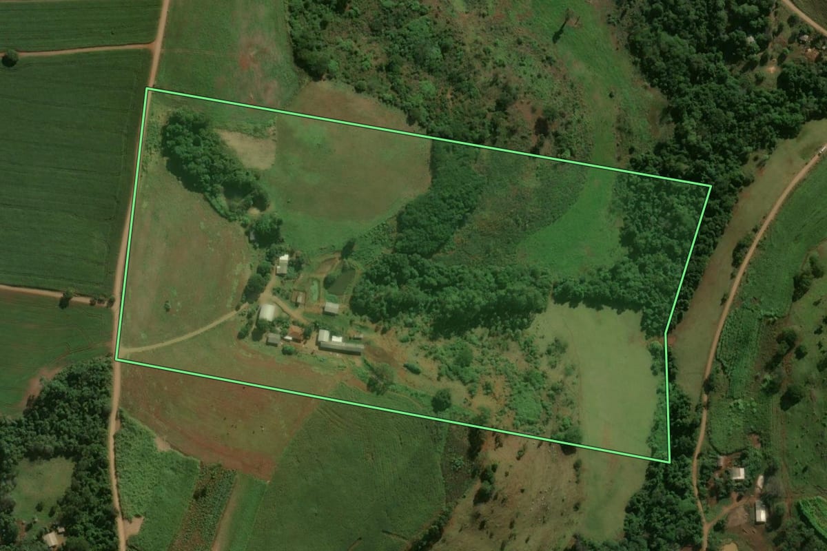 Imagem de satélite do imóvel rural em Nova Tebas (PR), com o contorno declarado no CAR desenhado por cima.