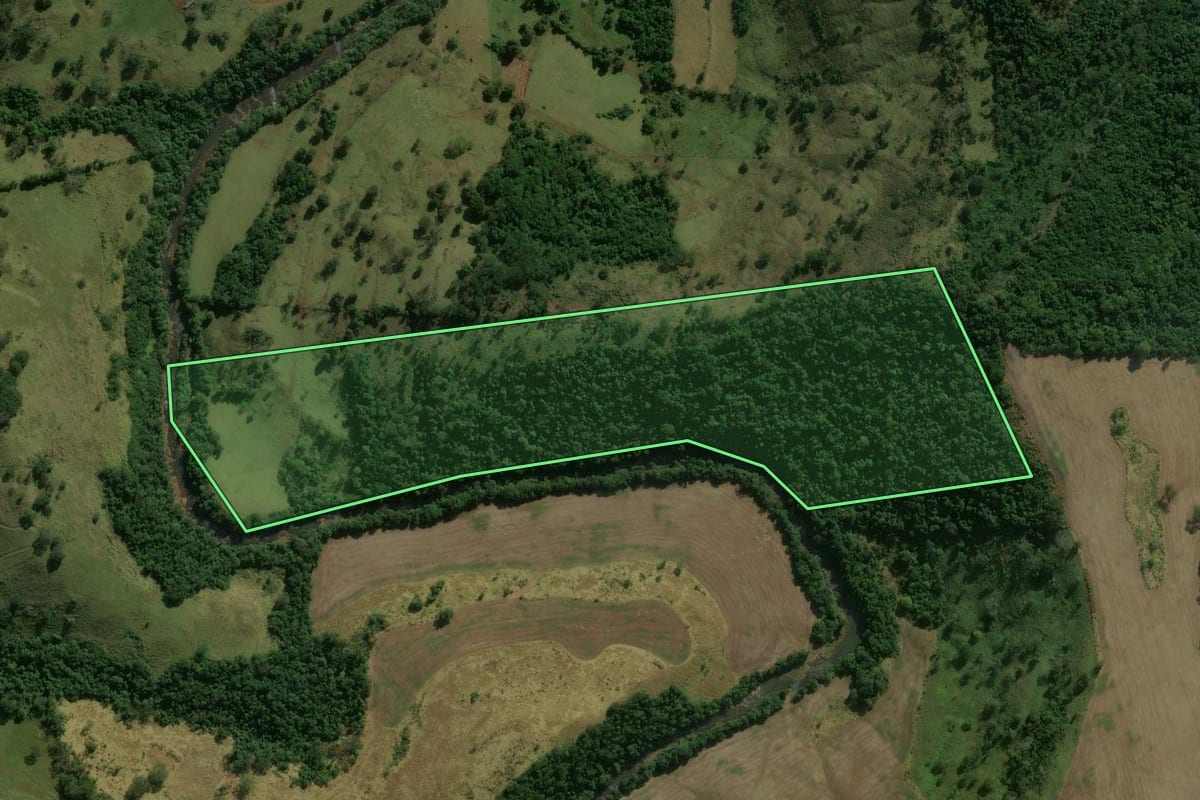Imagem de satélite do imóvel rural em Nova Tebas (PR), com o contorno declarado no CAR desenhado por cima.