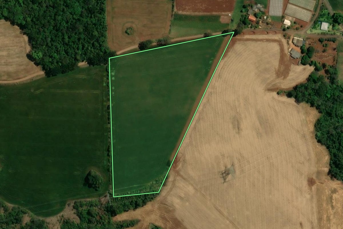 Imagem de satélite do imóvel rural em Nova Tebas (PR), com o contorno declarado no CAR desenhado por cima.