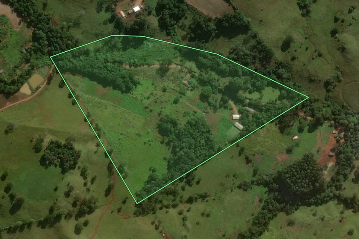 Imagem de satélite do imóvel rural em Nova Tebas (PR), com o contorno declarado no CAR desenhado por cima.
