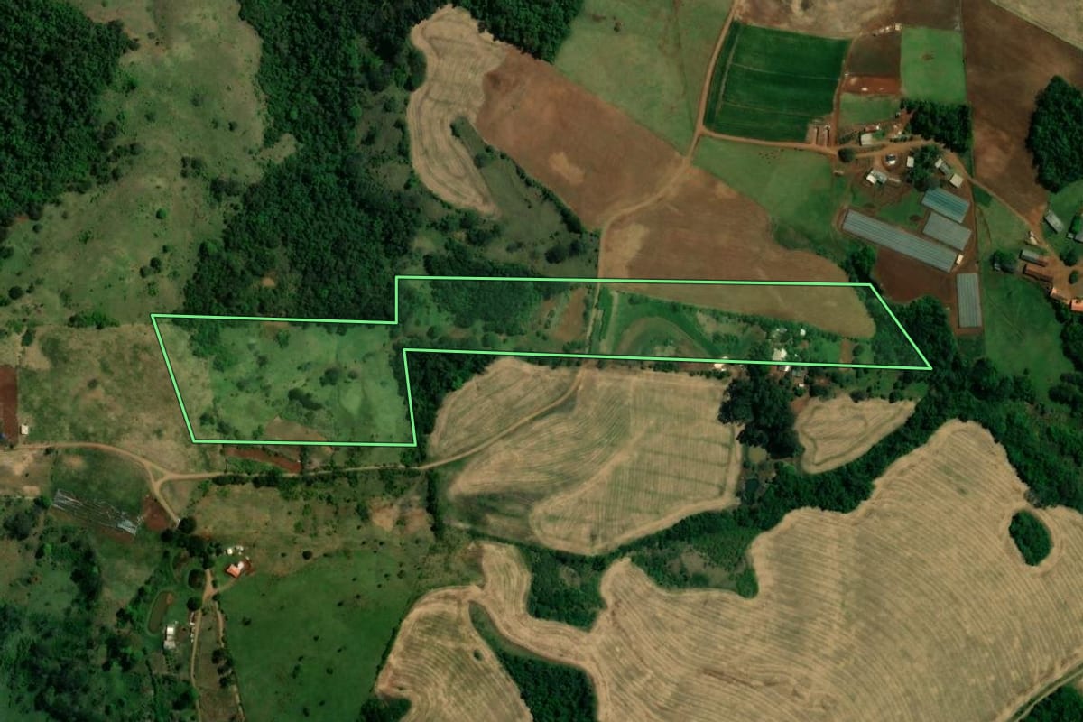Imagem de satélite do imóvel rural em Nova Tebas (PR), com o contorno declarado no CAR desenhado por cima.