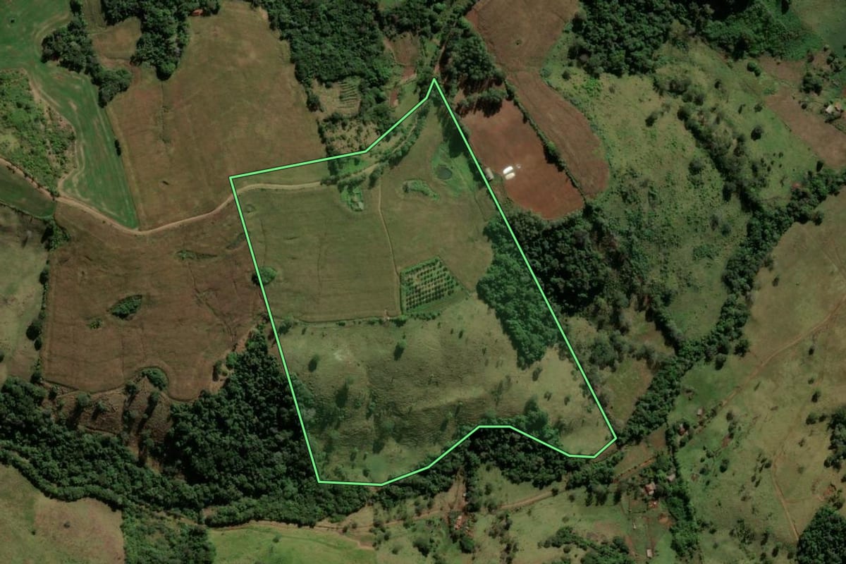 Imagem de satélite do imóvel rural em Nova Tebas (PR), com o contorno declarado no CAR desenhado por cima.