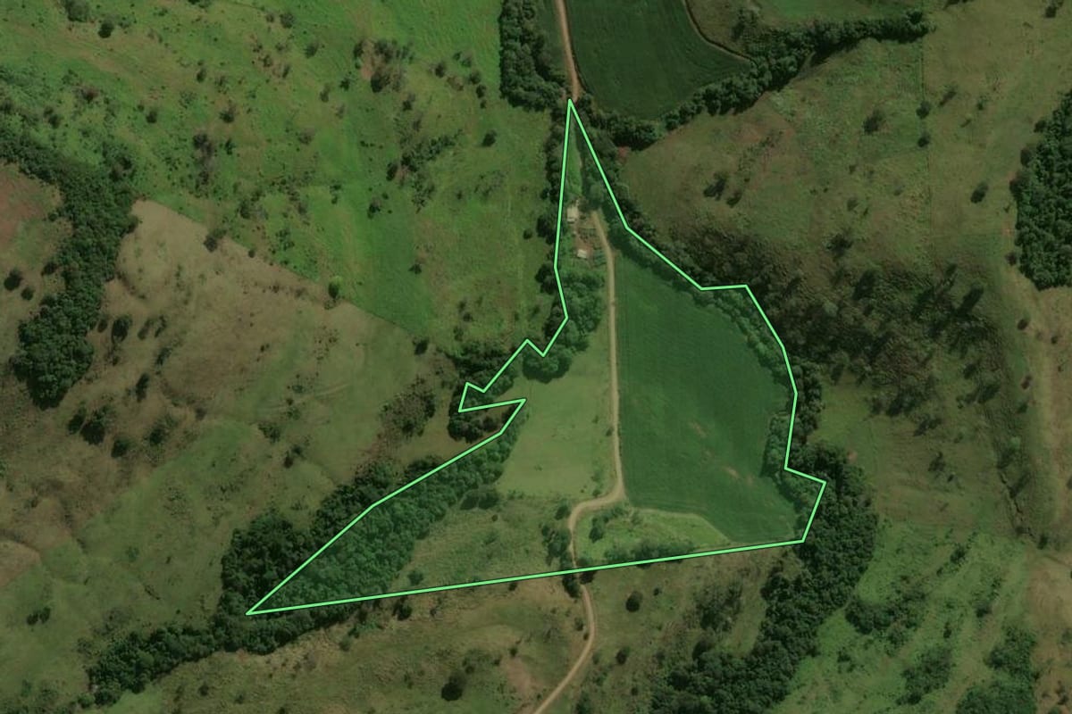Imagem de satélite do imóvel rural em Nova Tebas (PR), com o contorno declarado no CAR desenhado por cima.