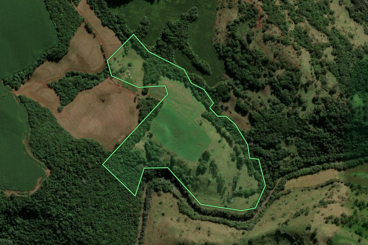 Imagem de satélite do imóvel rural em Nova Tebas (PR), com o contorno declarado no CAR desenhado por cima.