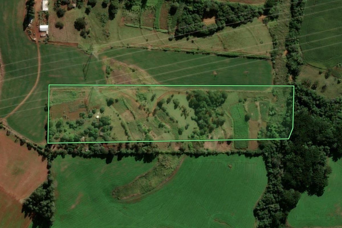 Imagem de satélite do imóvel rural em Nova Tebas (PR), com o contorno declarado no CAR desenhado por cima.