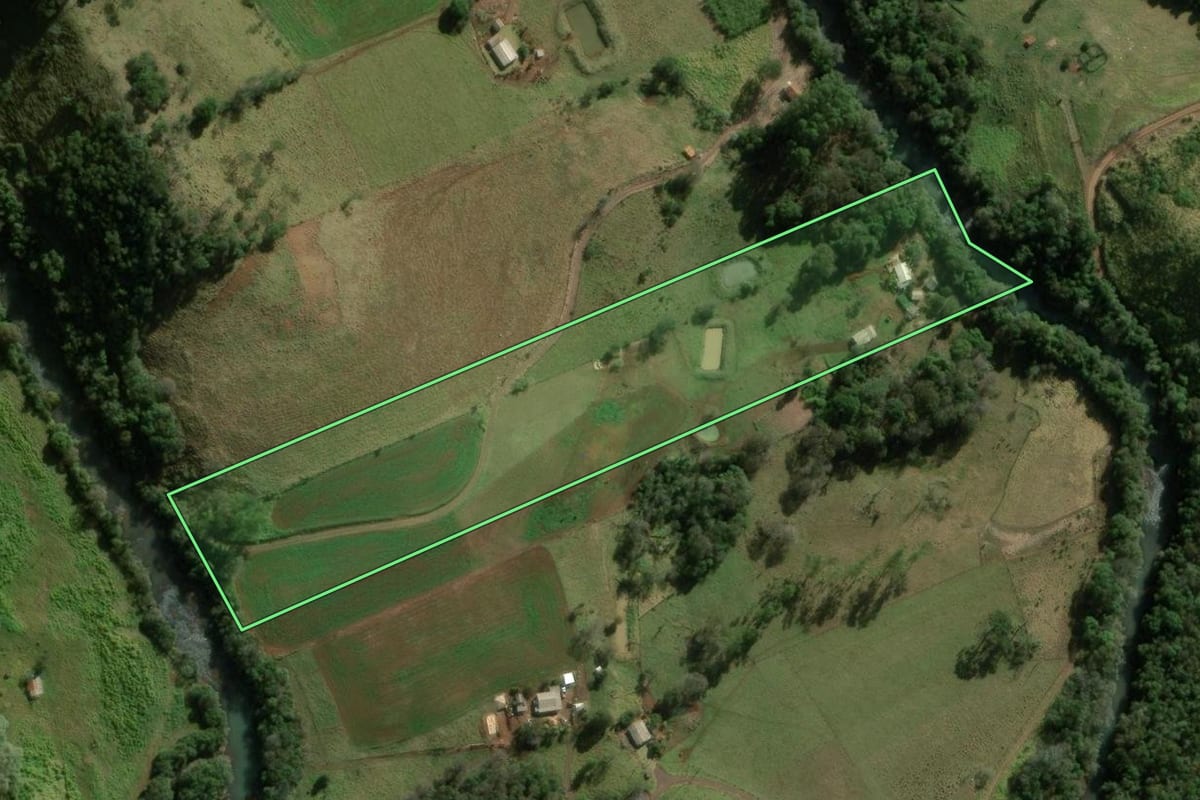 Imagem de satélite do imóvel rural em Nova Tebas (PR), com o contorno declarado no CAR desenhado por cima.