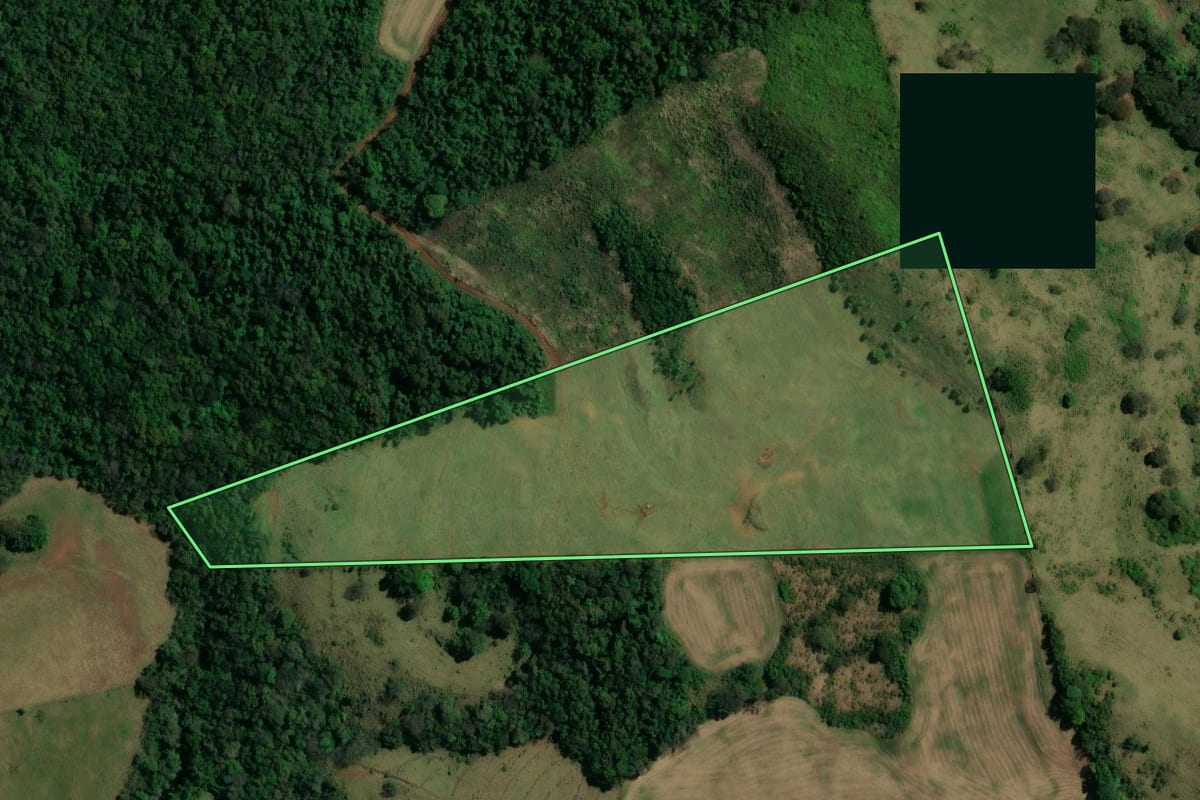 Imagem de satélite do imóvel rural em Nova Tebas (PR), com o contorno declarado no CAR desenhado por cima.