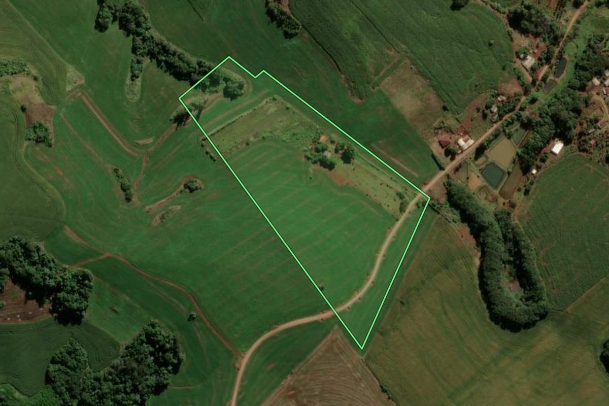 Imagem de satélite do imóvel rural em Nova Tebas (PR), com o contorno declarado no CAR desenhado por cima.