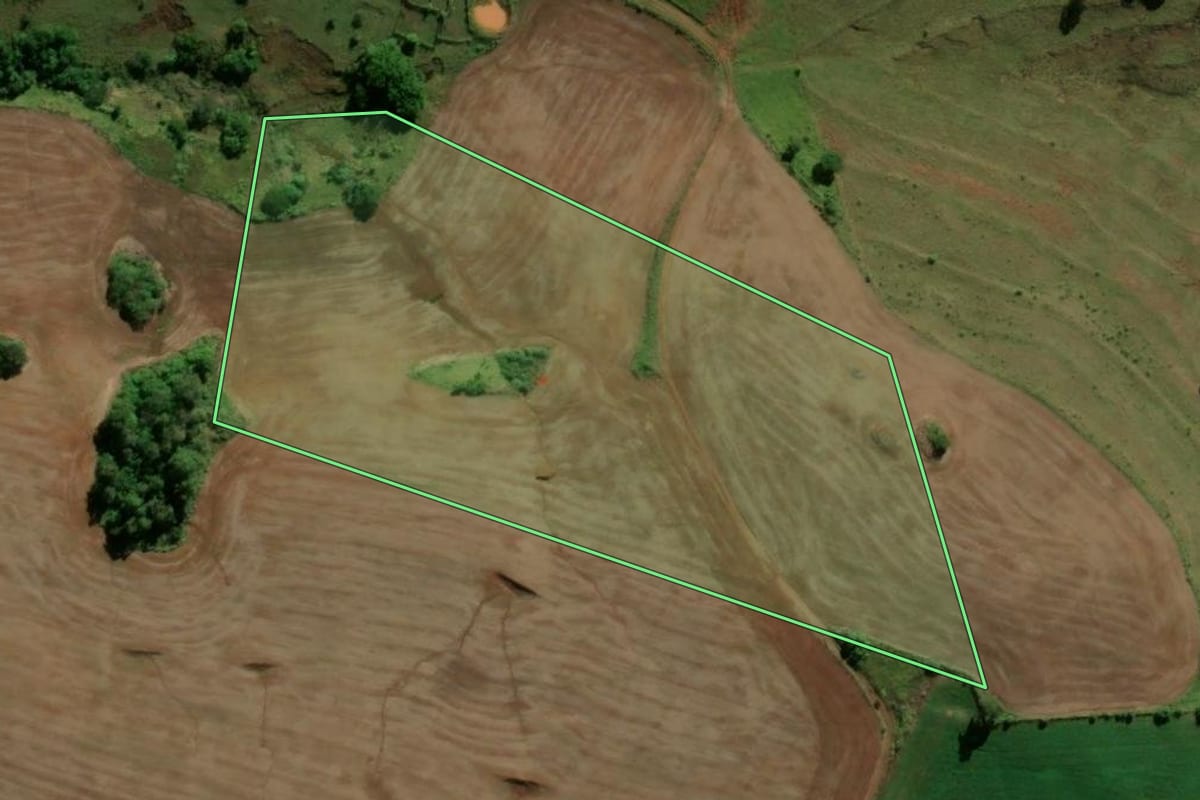 Imagem de satélite do imóvel rural em Nova Tebas (PR), com o contorno declarado no CAR desenhado por cima.