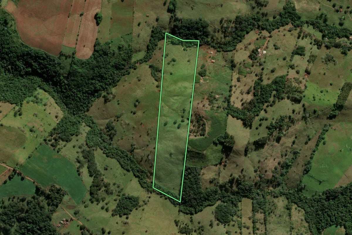 Imagem de satélite do imóvel rural em Nova Tebas (PR), com o contorno declarado no CAR desenhado por cima.