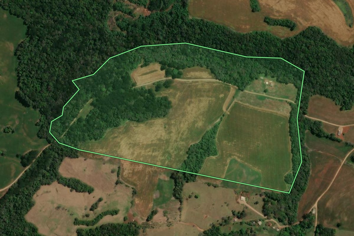 Imagem de satélite do imóvel rural em Nova Tebas (PR), com o contorno declarado no CAR desenhado por cima.