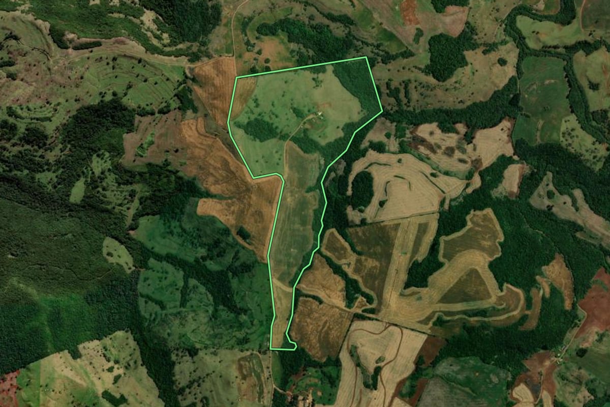 Imagem de satélite do imóvel rural em Nova Tebas (PR), com o contorno declarado no CAR desenhado por cima.