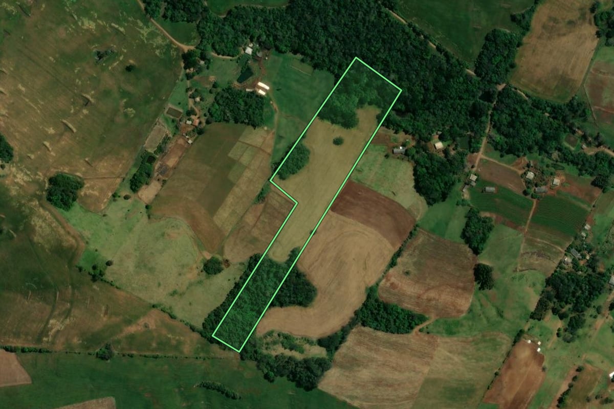 Imagem de satélite do imóvel rural em Nova Tebas (PR), com o contorno declarado no CAR desenhado por cima.