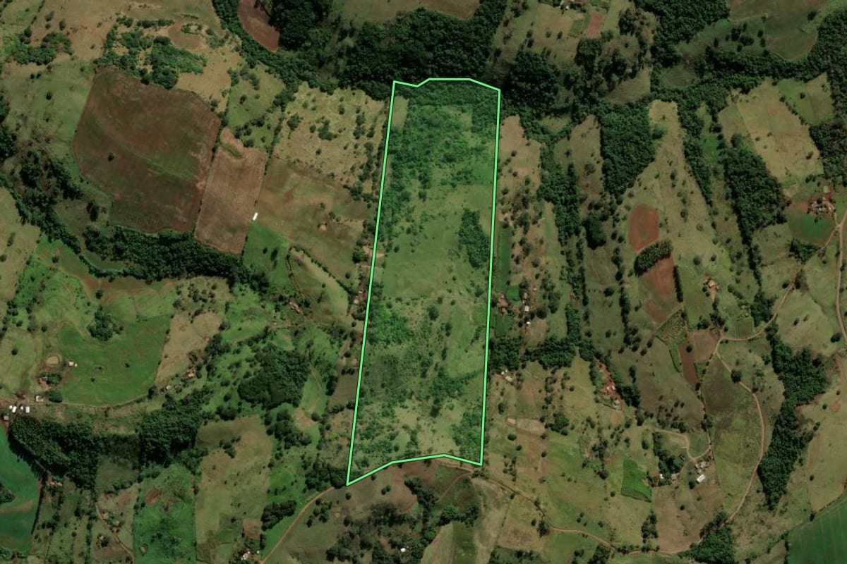 Imagem de satélite do imóvel rural em Nova Tebas (PR), com o contorno declarado no CAR desenhado por cima.