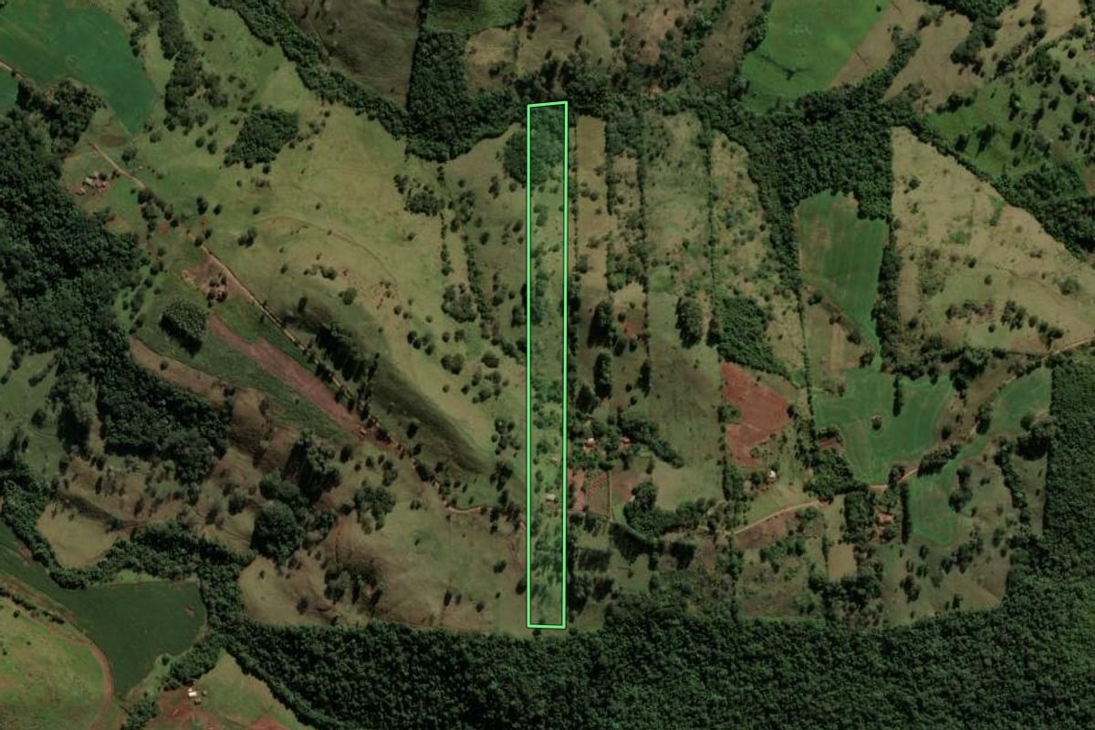 Imagem de satélite do imóvel rural em Nova Tebas (PR), com o contorno declarado no CAR desenhado por cima.