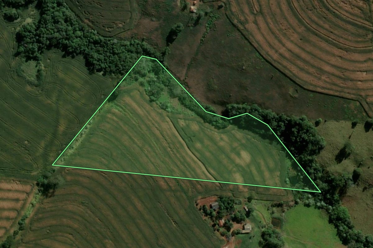 Imagem de satélite do imóvel rural em Novo Itacolomi (PR), com o contorno declarado no CAR desenhado por cima.