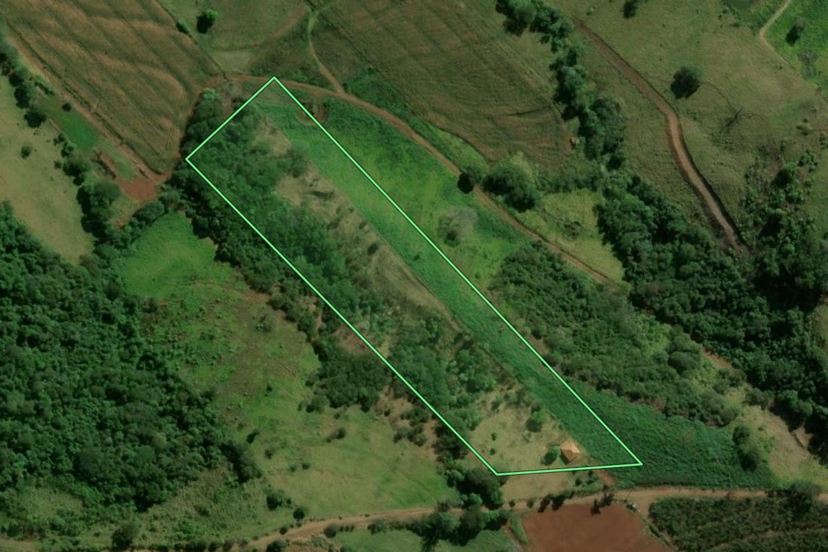 Imagem de satélite do imóvel rural em Novo Itacolomi (PR), com o contorno declarado no CAR desenhado por cima.