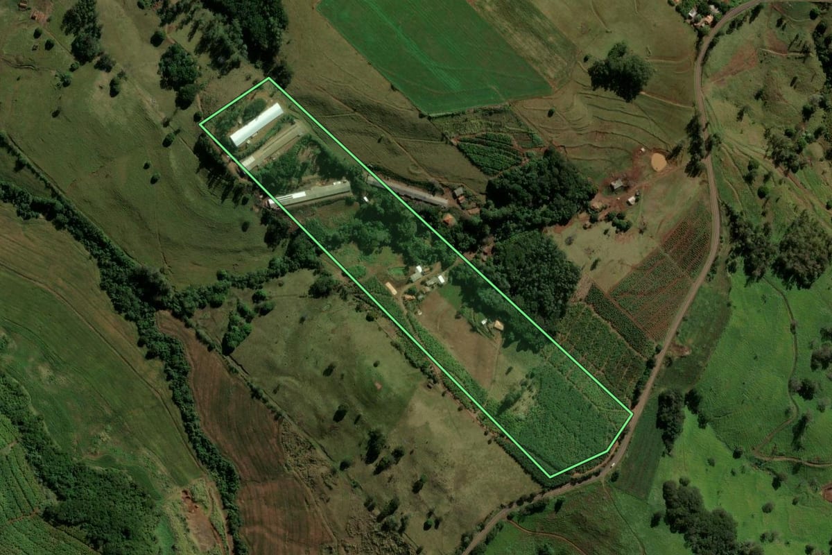 Imagem de satélite do imóvel rural em Novo Itacolomi (PR), com o contorno declarado no CAR desenhado por cima.