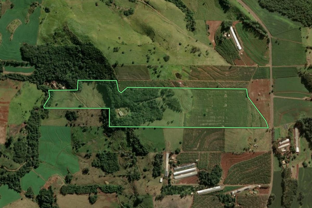 Imagem de satélite do imóvel rural em Novo Itacolomi (PR), com o contorno declarado no CAR desenhado por cima.