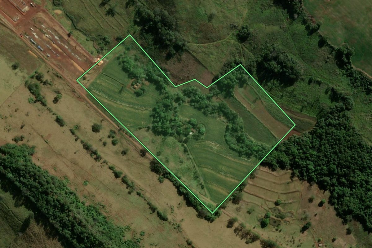 Imagem de satélite do imóvel rural em Novo Itacolomi (PR), com o contorno declarado no CAR desenhado por cima.