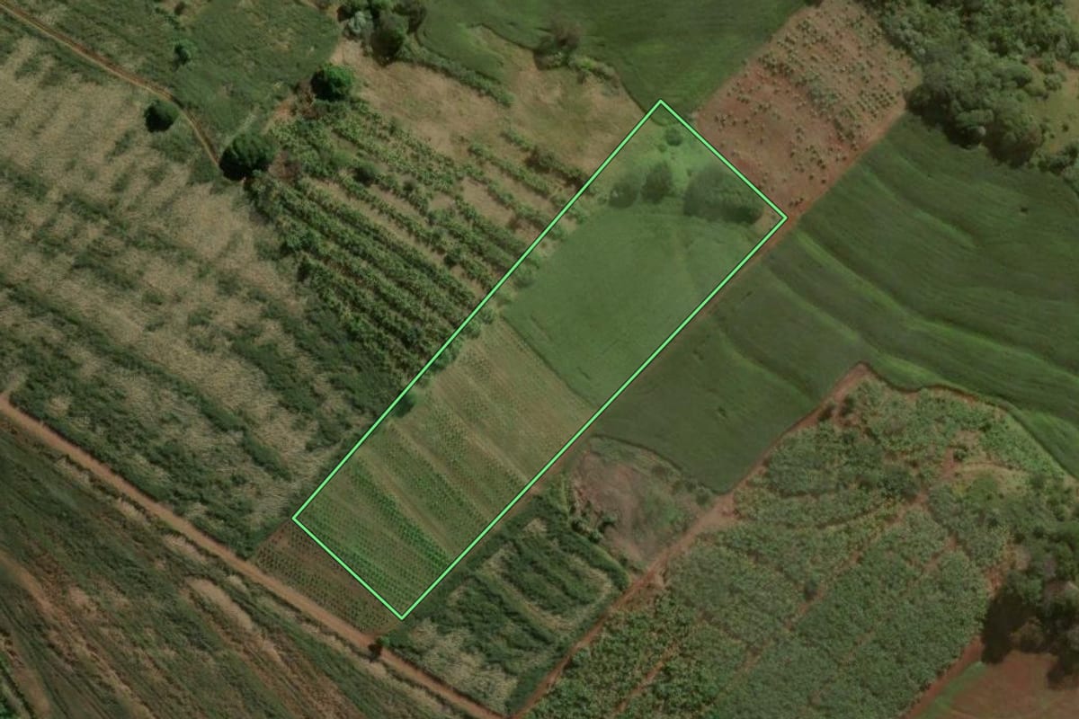 Imagem de satélite do imóvel rural em Novo Itacolomi (PR), com o contorno declarado no CAR desenhado por cima.