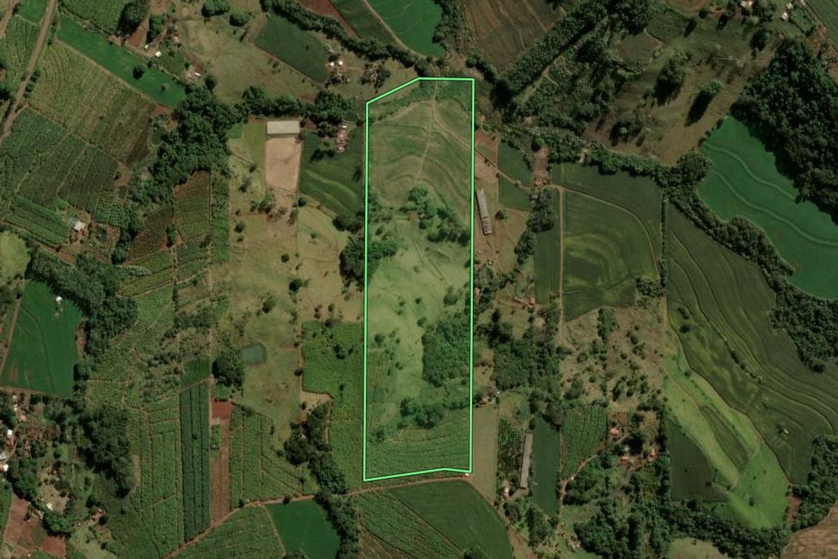 Imagem de satélite do imóvel rural em Novo Itacolomi (PR), com o contorno declarado no CAR desenhado por cima.