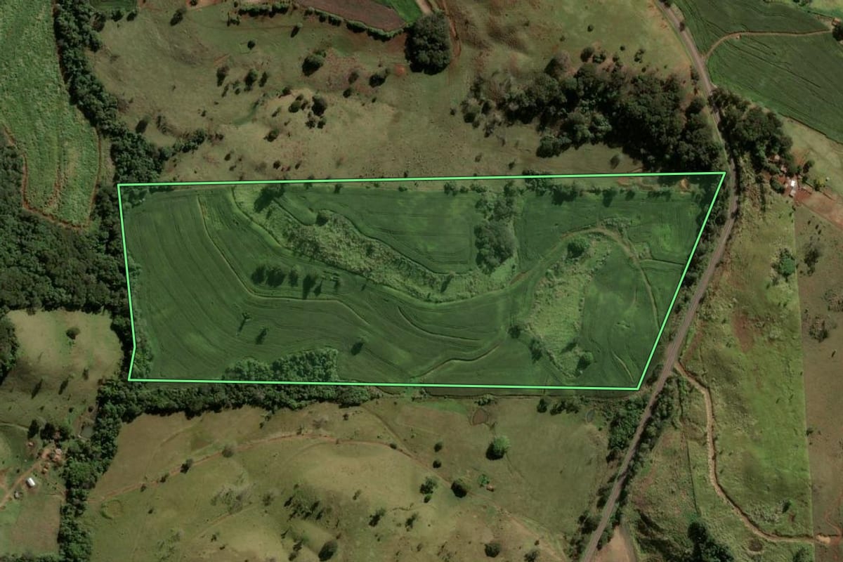 Imagem de satélite do imóvel rural em Novo Itacolomi (PR), com o contorno declarado no CAR desenhado por cima.