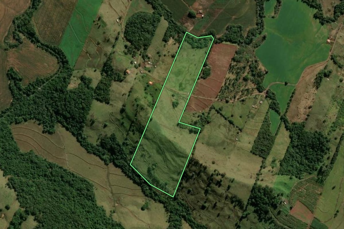 Imagem de satélite do imóvel rural em Novo Itacolomi (PR), com o contorno declarado no CAR desenhado por cima.