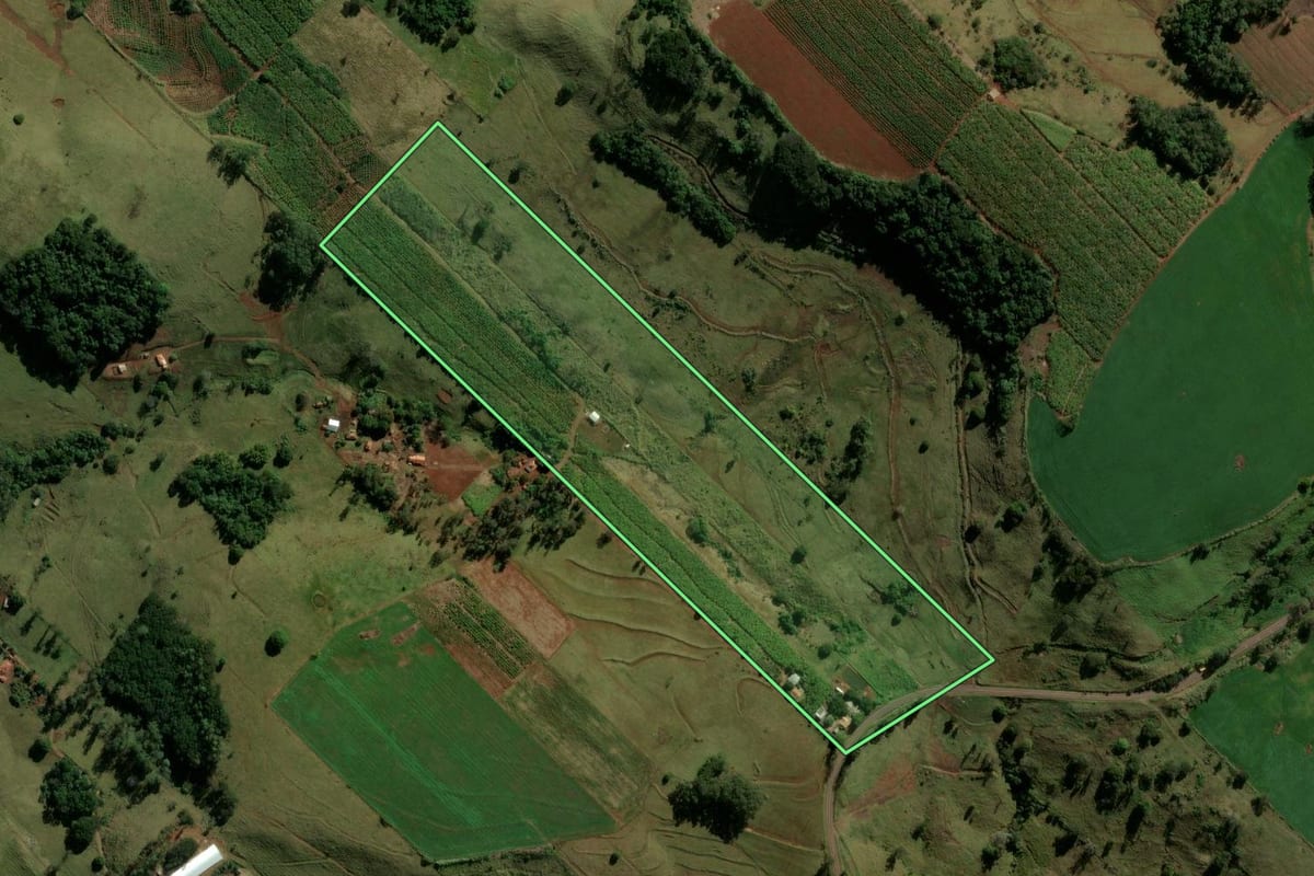 Imagem de satélite do imóvel rural em Novo Itacolomi (PR), com o contorno declarado no CAR desenhado por cima.
